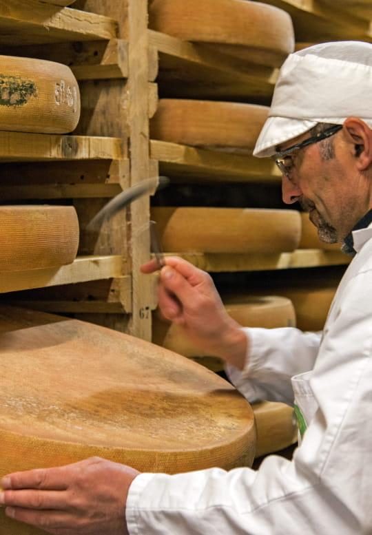 Affineur sondant une meule de Comté en cave d'affinage